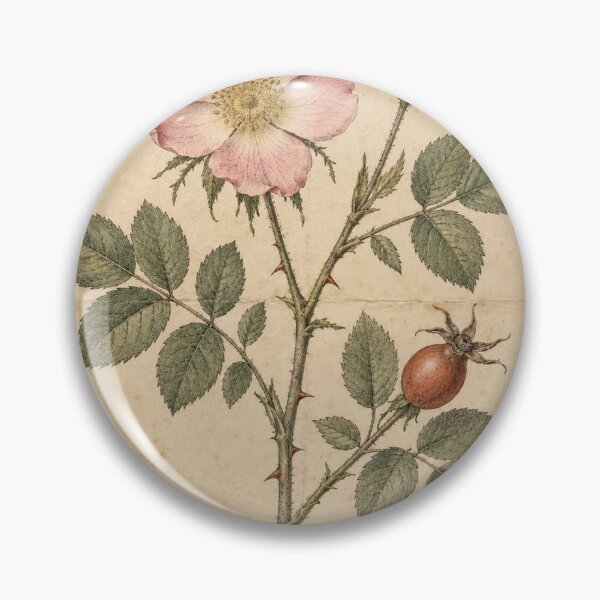 Item preview, Vintage Wild Rose Botanical Study designed and sold by MWprint.