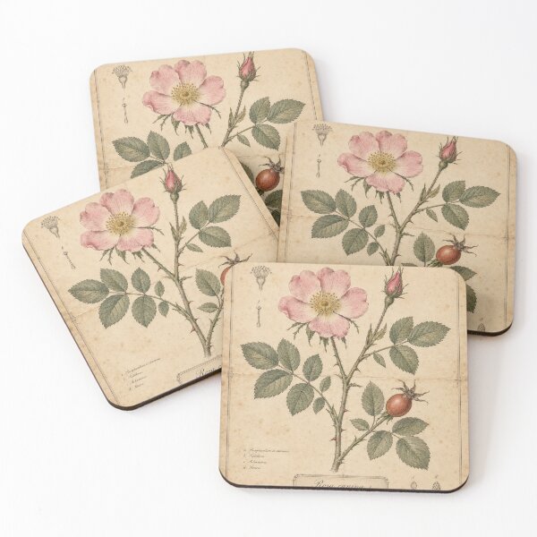Item preview, Vintage Wild Rose Botanical Study designed and sold by MWprint.