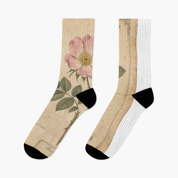Item preview, Vintage Wild Rose Botanical Study designed and sold by MWprint.