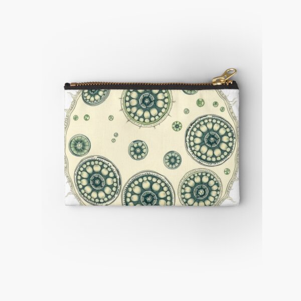 Item preview, Cyclospora Vintage Scientific Illustration | Microbiology Art | Biology Research Design designed and sold by MystiColo.
