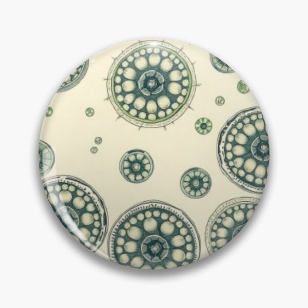 Item preview, Cyclospora Vintage Scientific Illustration | Microbiology Art | Biology Research Design designed and sold by MystiColo.