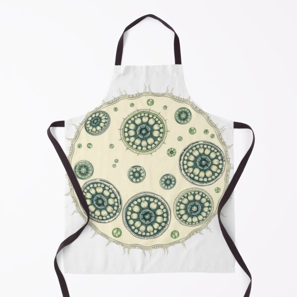 Item preview, Cyclospora Vintage Scientific Illustration | Microbiology Art | Biology Research Design designed and sold by MystiColo.