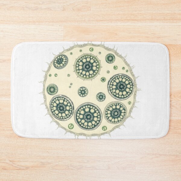 Item preview, Cyclospora Vintage Scientific Illustration | Microbiology Art | Biology Research Design designed and sold by MystiColo.