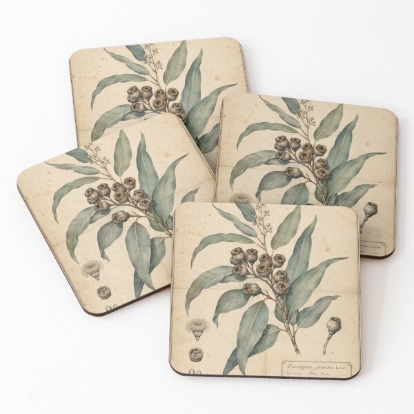 Item preview, Vintage Eucalyptus Botanical Study designed and sold by MWprint.
