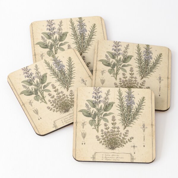 Item preview, Vintage Culinary Herbs Botanical Study designed and sold by MWprint.