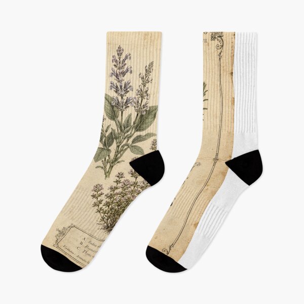 Item preview, Vintage Culinary Herbs Botanical Study designed and sold by MWprint.