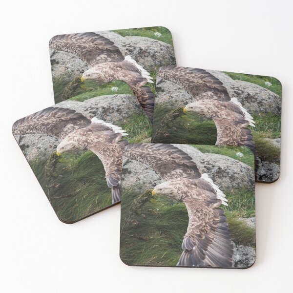 Item preview, Eagle gliding designed and sold by XaviFotografia.