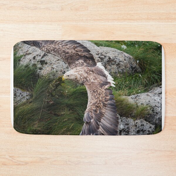 Item preview, Eagle gliding designed and sold by XaviFotografia.