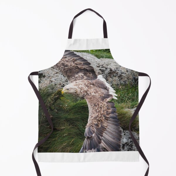 Item preview, Eagle gliding designed and sold by XaviFotografia.