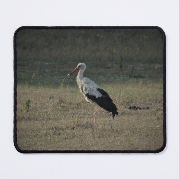Item preview, Frozen reality - Beautiful nature 946 designed and sold by deep-sea-birds.