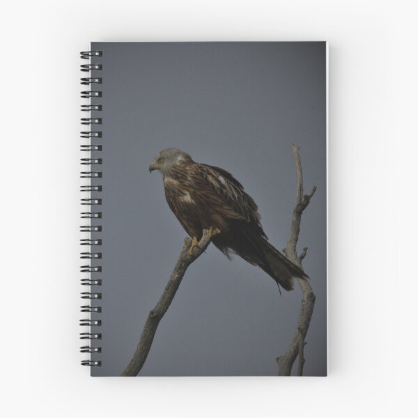 Item preview, Frozen reality - Beautiful nature 950 designed and sold by deep-sea-birds.