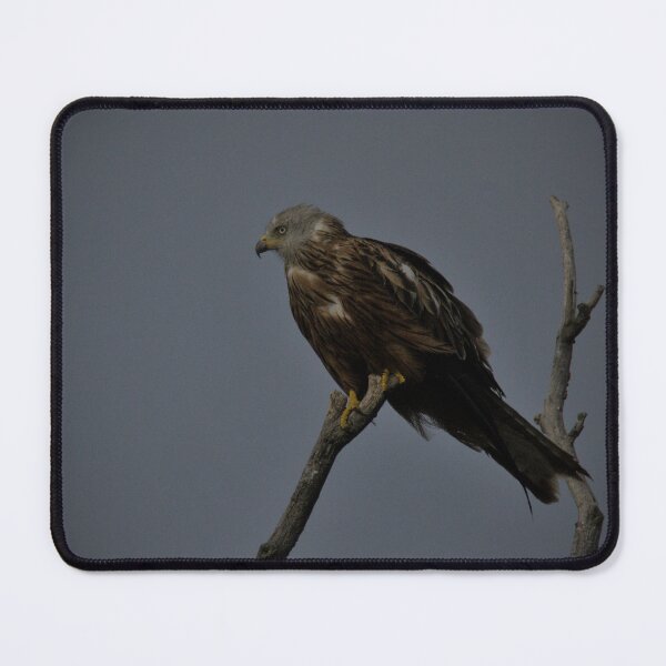 Item preview, Frozen reality - Beautiful nature 950 designed and sold by deep-sea-birds.