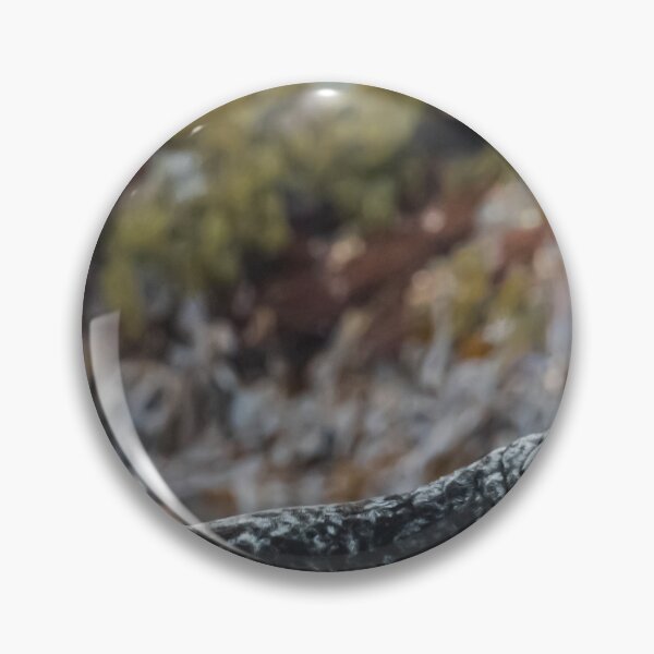 Item preview, Seal in Norway designed and sold by XaviFotografia.