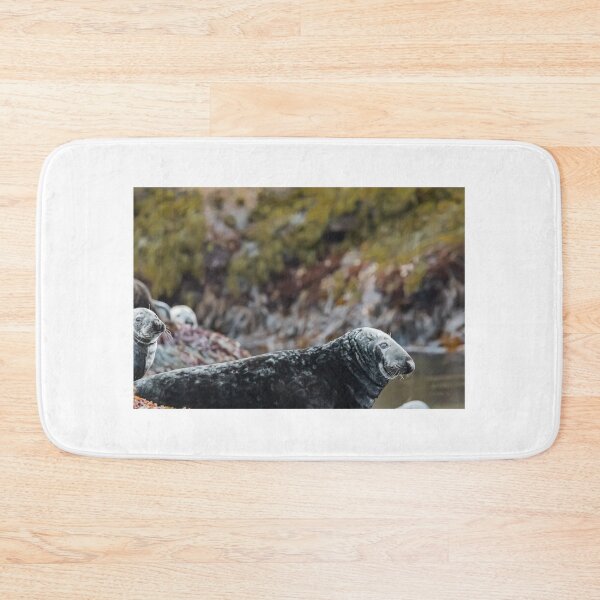 Item preview, Seal in Norway designed and sold by XaviFotografia.