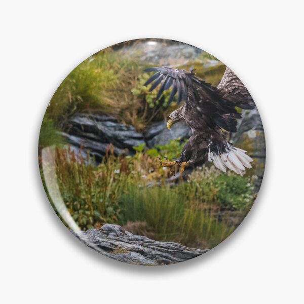 Item preview, Eagle perching on a rock designed and sold by XaviFotografia.