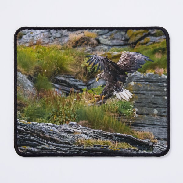 Item preview, Eagle perching on a rock designed and sold by XaviFotografia.
