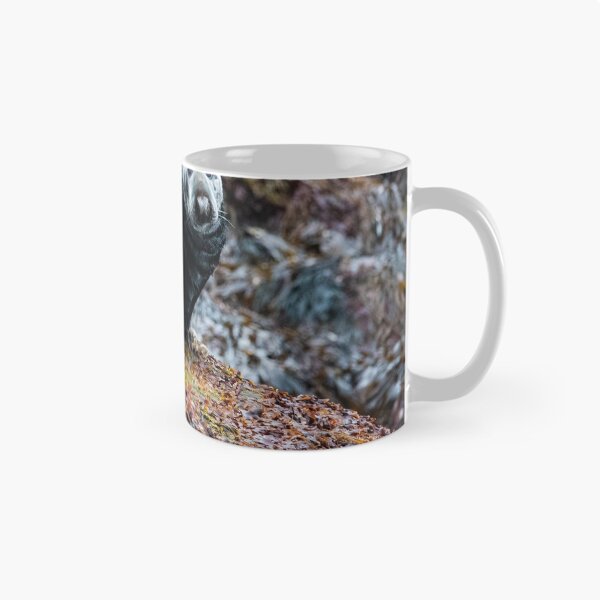 Item preview, Seal in Norway designed and sold by XaviFotografia.