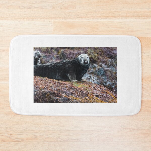Item preview, Seal in Norway designed and sold by XaviFotografia.