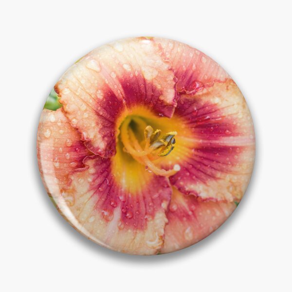 Item preview, Vivid Orangey Pink Daylily Bloom with Raindrops designed and sold by Georgia Mizuleva.