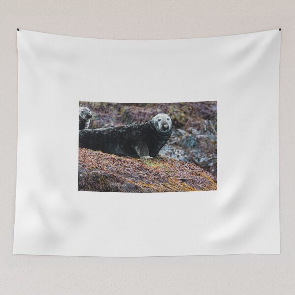 Item preview, Seal in Norway designed and sold by XaviFotografia.