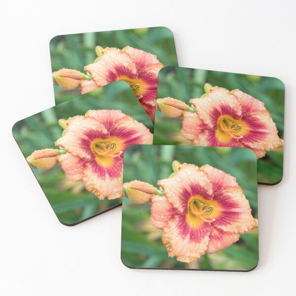 Item preview, Vivid Orangey Pink Daylily Bloom with Raindrops designed and sold by Georgia Mizuleva.