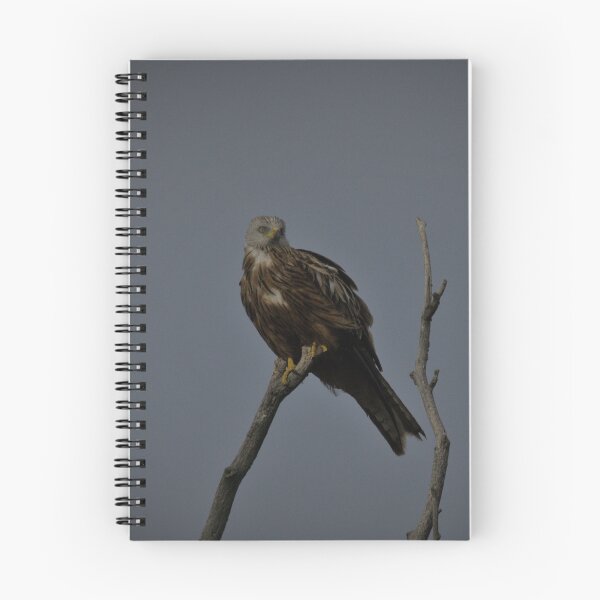 Item preview, Frozen reality - Beautiful nature 951 designed and sold by deep-sea-birds.
