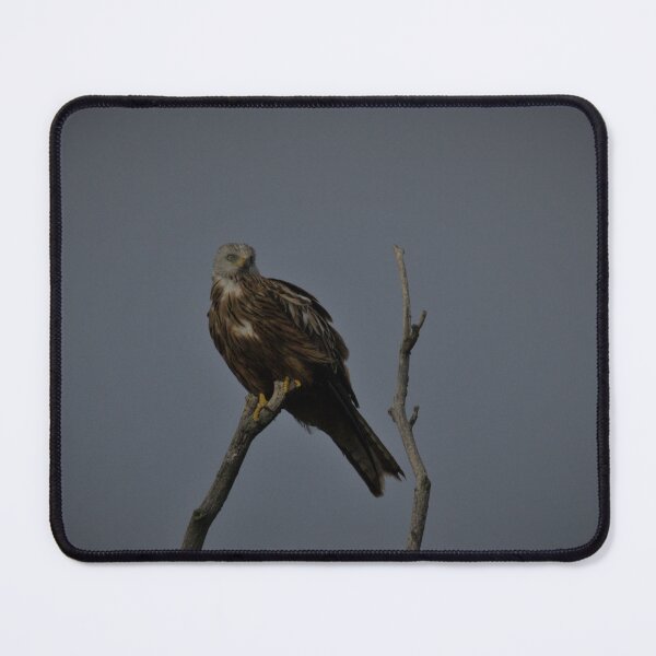 Item preview, Frozen reality - Beautiful nature 951 designed and sold by deep-sea-birds.