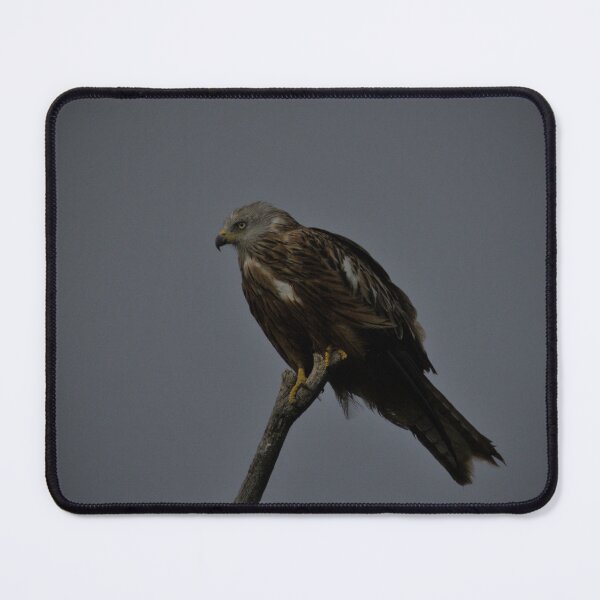 Item preview, Frozen reality - Beautiful nature 953 designed and sold by deep-sea-birds.