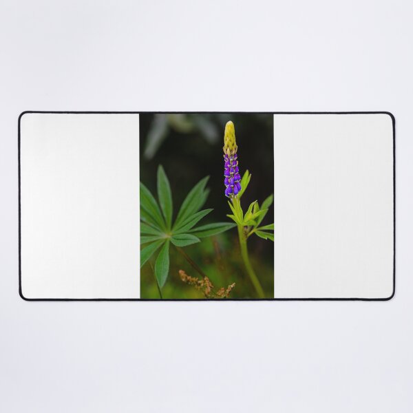Item preview, Flower designed and sold by XaviFotografia.