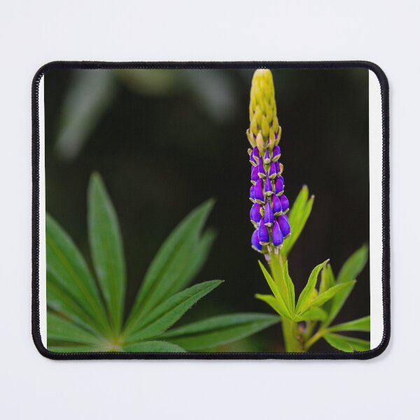 Item preview, Flower designed and sold by XaviFotografia.