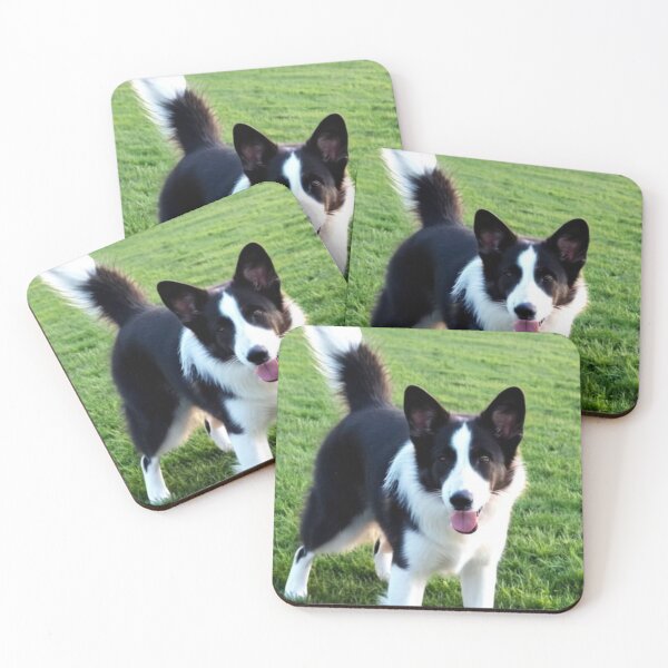 Item preview, Animals - Small Herding Dog, Joyful Bicolor Coated designed and sold by World-Pets.