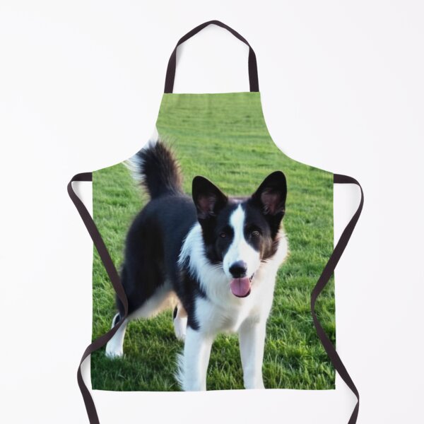 Item preview, Animals - Small Herding Dog, Joyful Bicolor Coated designed and sold by World-Pets.