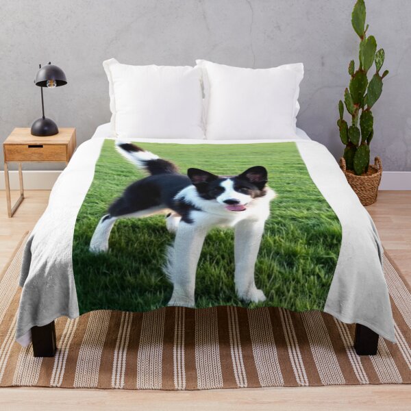 Item preview, Animals - Small Herding Dog, Joyful Bicolor Coated designed and sold by World-Pets.