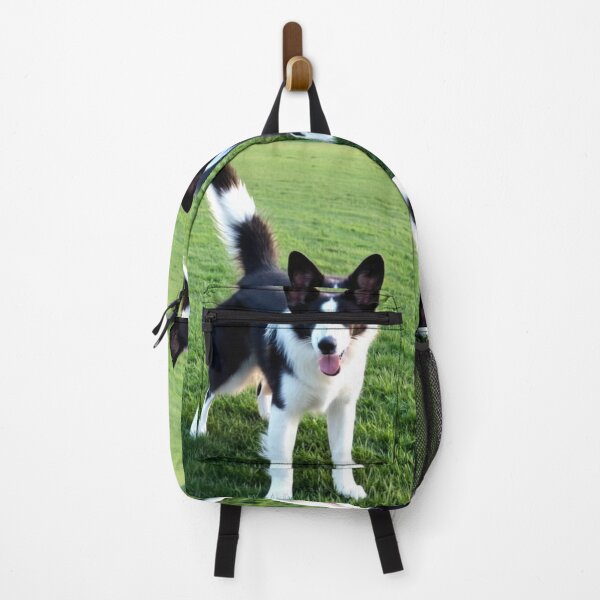 Item preview, Animals - Small Herding Dog, Joyful Bicolor Coated designed and sold by World-Pets.