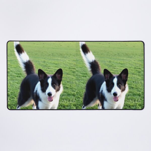Item preview, Animals - Small Herding Dog, Joyful Bicolor Coated designed and sold by World-Pets.