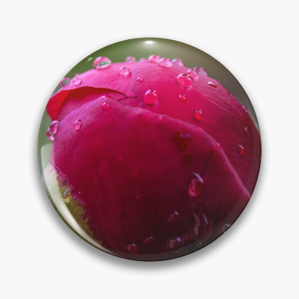 Item preview, Peony Flower Bud After Rain designed and sold by MoePhotography.
