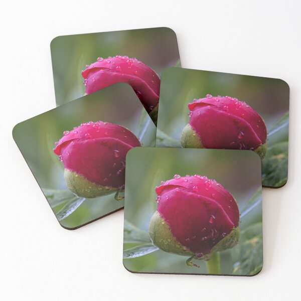 Item preview, Peony Flower Bud After Rain designed and sold by MoePhotography.