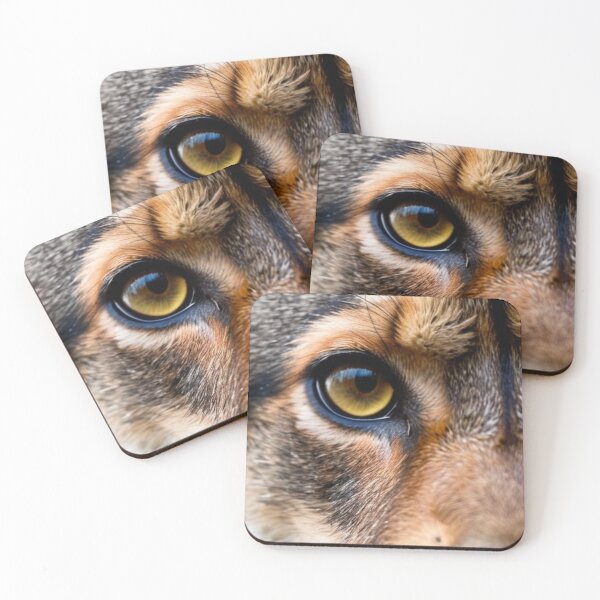 Item preview, Animals - Wild Feline Gaze, Predatory Intensity designed and sold by World-Pets.