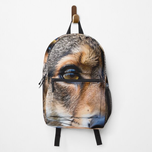 Item preview, Animals - Wild Feline Gaze, Predatory Intensity designed and sold by World-Pets.