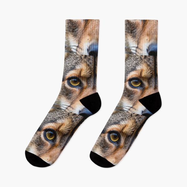Item preview, Animals - Wild Feline Gaze, Predatory Intensity designed and sold by World-Pets.