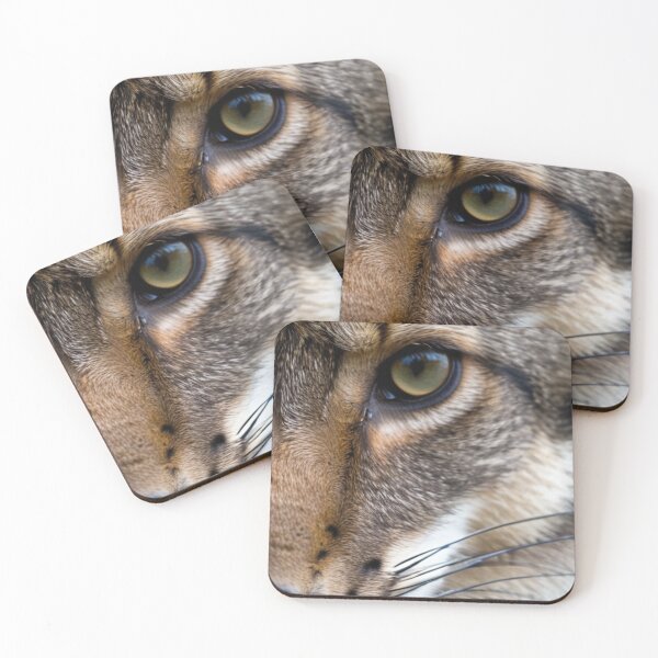 Item preview, Animals - Wild Feline, Hypnotic Gaze and Striking Details designed and sold by World-Pets.