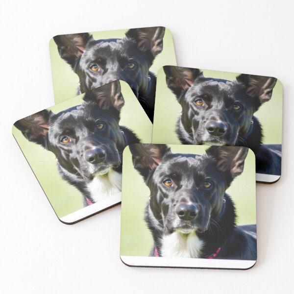 Item preview, Animals - Working Dog, Expressive Amber-Eyed Portrait designed and sold by World-Pets.