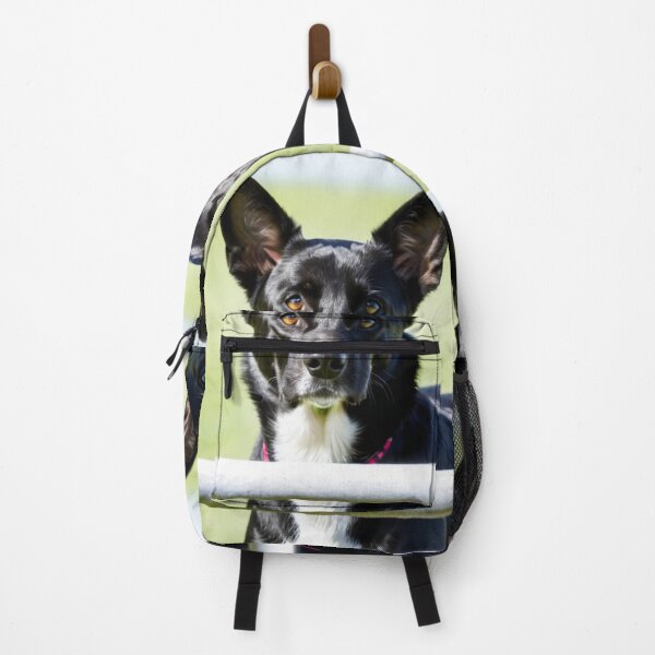 Item preview, Animals - Working Dog, Expressive Amber-Eyed Portrait designed and sold by World-Pets.
