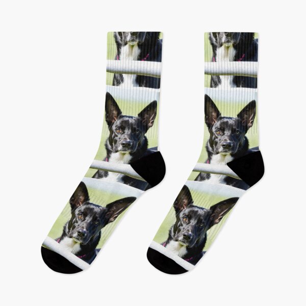 Item preview, Animals - Working Dog, Expressive Amber-Eyed Portrait designed and sold by World-Pets.