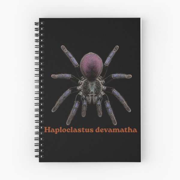 Item preview, Haploclastus devamatha SP-026 designed and sold by Exotic-Atlas.
