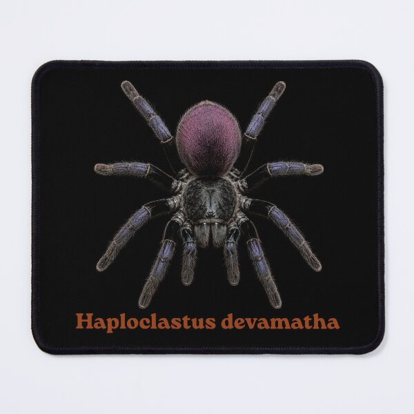 Item preview, Haploclastus devamatha SP-026 designed and sold by Exotic-Atlas.