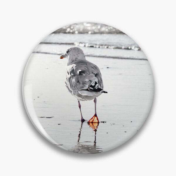 Item preview, Flock of Seagulls Resting on Wave-Washed groyne  designed and sold by kristofbellens.