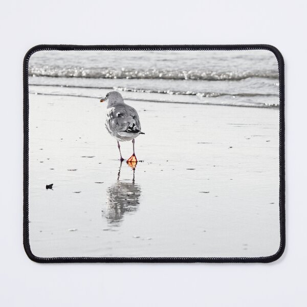 Item preview, Flock of Seagulls Resting on Wave-Washed groyne designed and sold by kristofbellens.