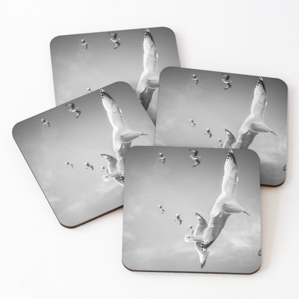 Item preview, black and white seagulls designed and sold by kristofbellens.