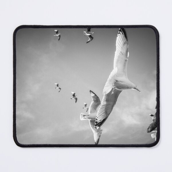 Item preview, black and white seagulls designed and sold by kristofbellens.